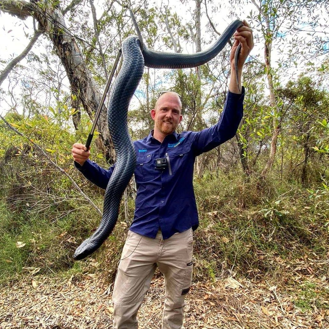 Stuart holding a red bellied black snake